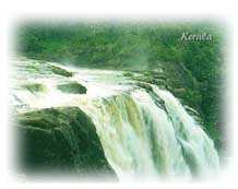 Kerala tourism invites to the "Gods own Country ::: Kerala" to see and experience the magic before your eyes