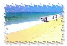 The Marari Beach (Mararikulam) 