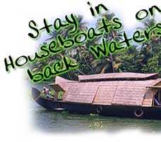 Stay in backwaters on house boat of kerala